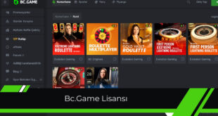 Bc.Game lisansı