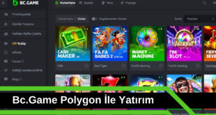 Bc.Game Polygon İle Yatırım